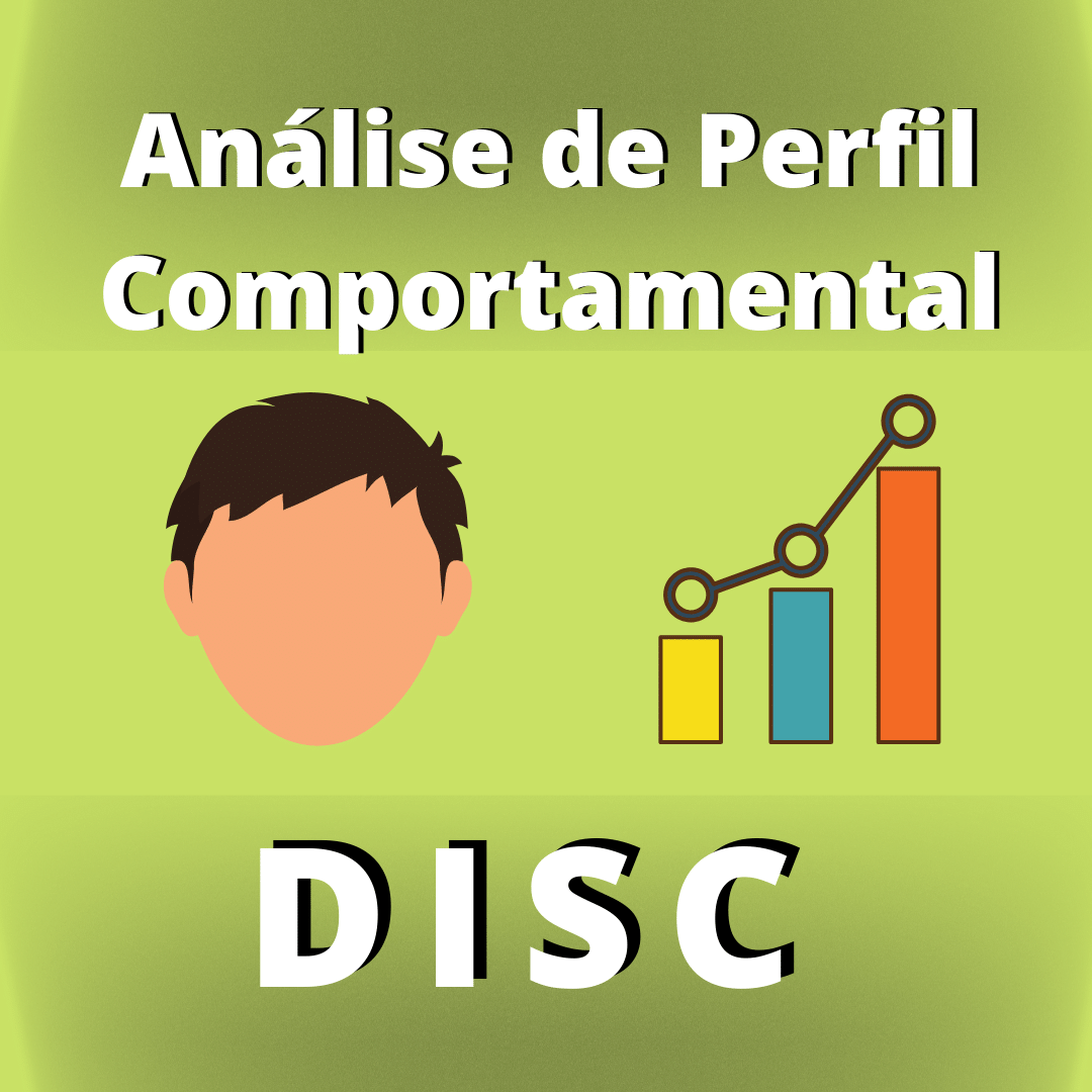 Lula Moura - Analise de Perfil DISC
